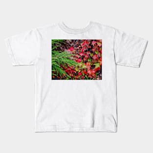 Red Leaves and Evergreens Kids T-Shirt